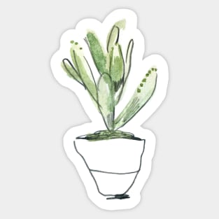 WC&S - kalanchoe tomentosa Sticker